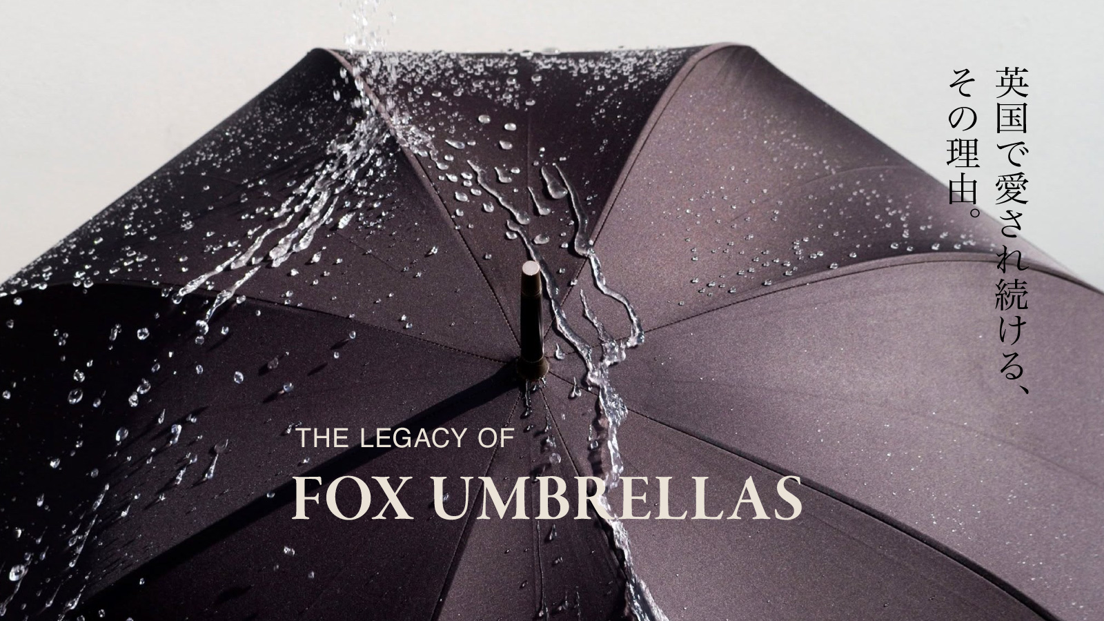 FOX_20260612.jpg