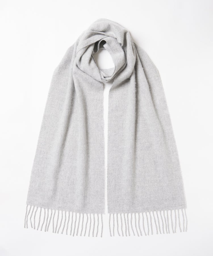 HA0100/Silver