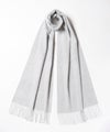 HA0100/Silver