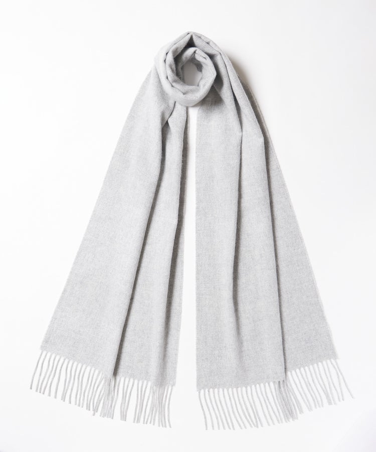 HA0100/Silver