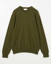 SC4573/SFA Olive