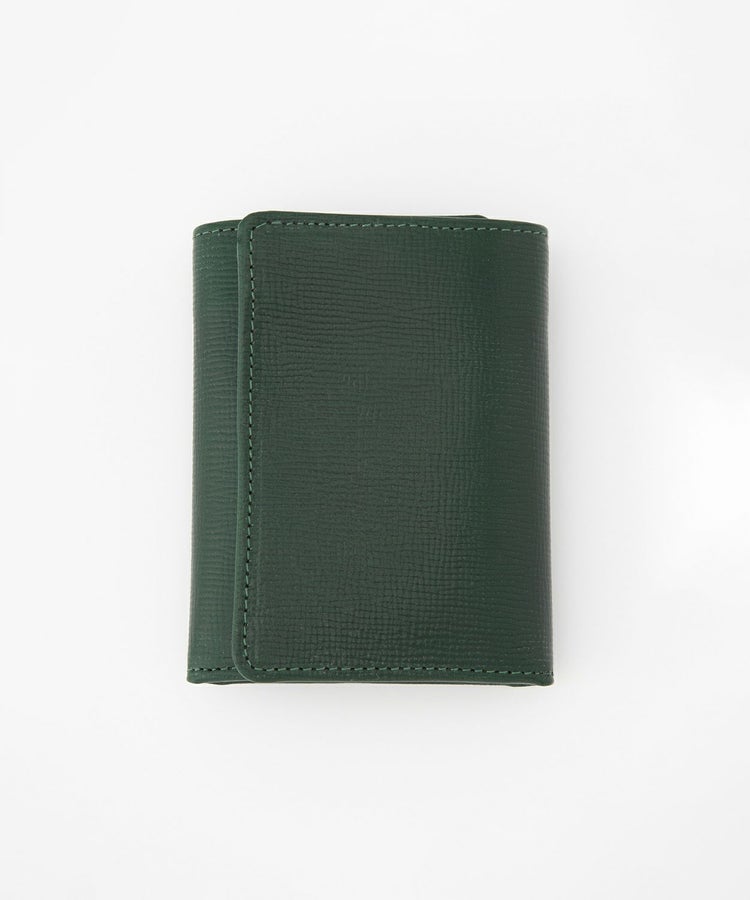 BOTTLE GREEN x CIGAR