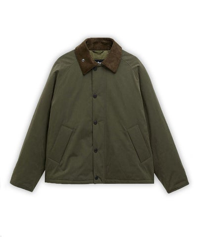 OLIVE	