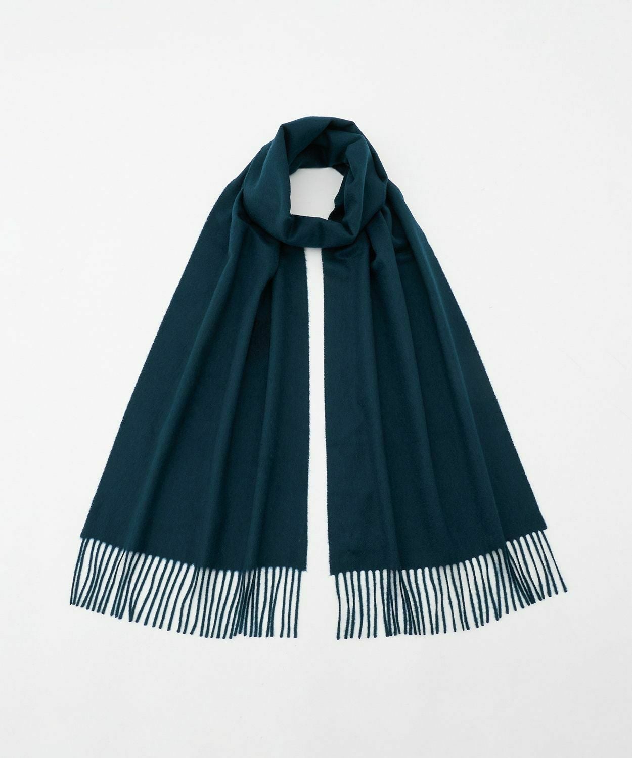 000000008154-01.jpg?size=l&w=