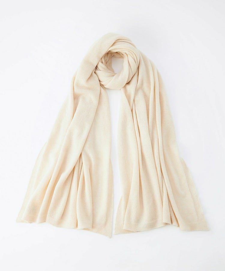 SA0502/SFA Champagne