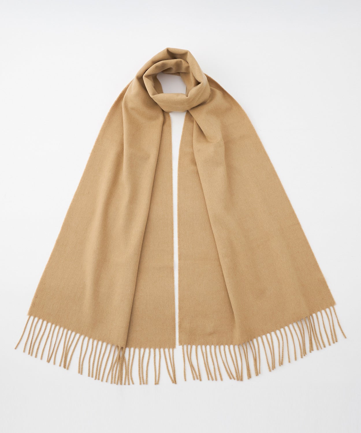 HB4315/Camel
